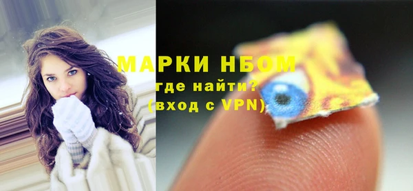 ПСИЛОЦИБИНОВЫЕ ГРИБЫ Арсеньев