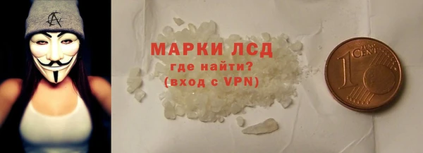 ПСИЛОЦИБИНОВЫЕ ГРИБЫ Арсеньев