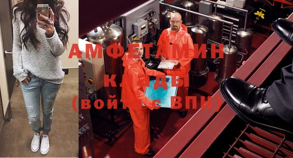 ПСИЛОЦИБИНОВЫЕ ГРИБЫ Арсеньев