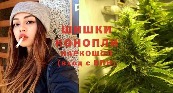 ПСИЛОЦИБИНОВЫЕ ГРИБЫ Арсеньев