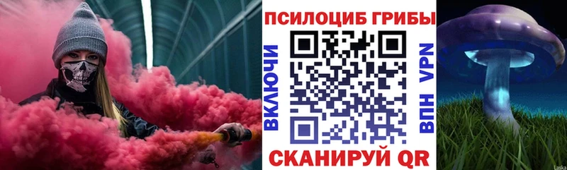 площадка Telegram  наркошоп  Сорочинск  Псилоцибиновые грибы мицелий  ОМГ ОМГ вход 
