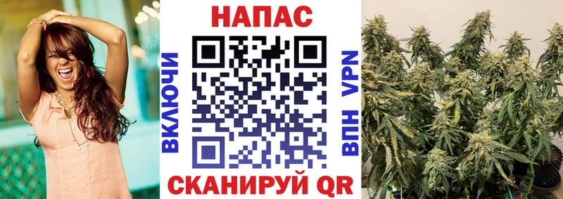 МАРИХУАНА план  Сорочинск 